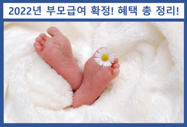  부모급여 지급 확정!! 금액부터 바뀐점 총 정리~ ("영아수당"→"부모급여")