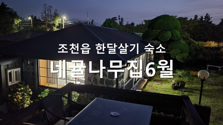 제주 조천읍 대흘리 한달살기 숙소 - 네귤나무집 6월