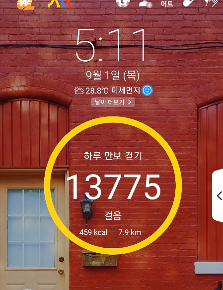  2022년 9월 1일 1만보 성공(8일째)