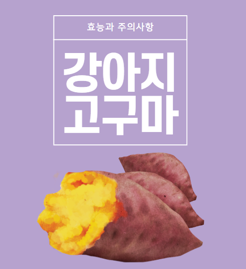  강아지 고구마 먹어도 뿌리채소 일까요?(효능과 주의 사항)