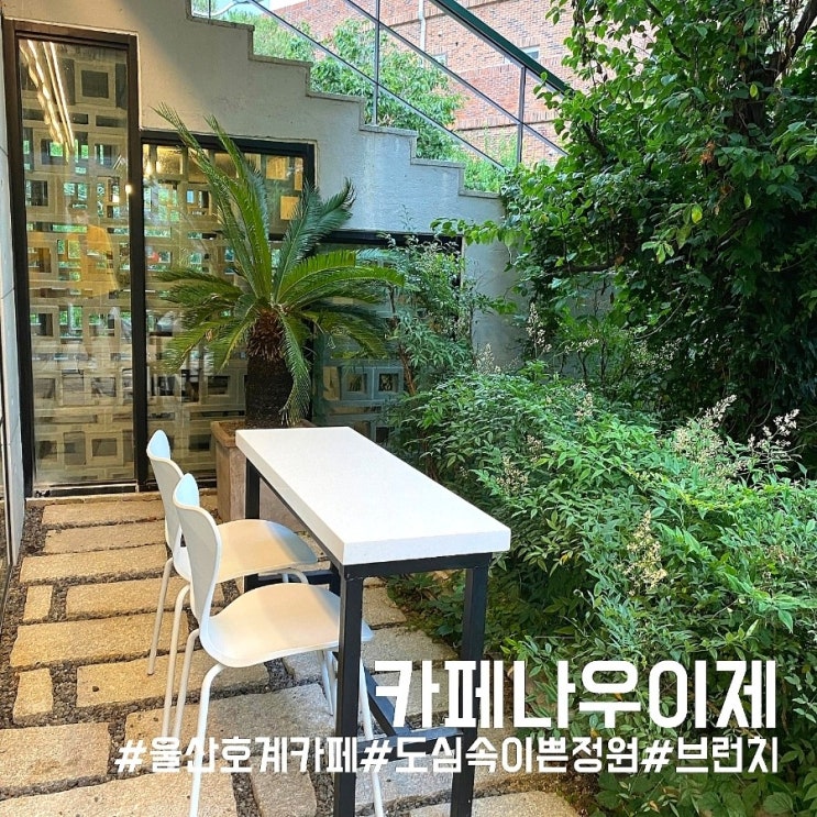  [울산]울산 북구 카페/도심속 정원이 이쁜 브런치&디저트 맛집 카페나우이제!