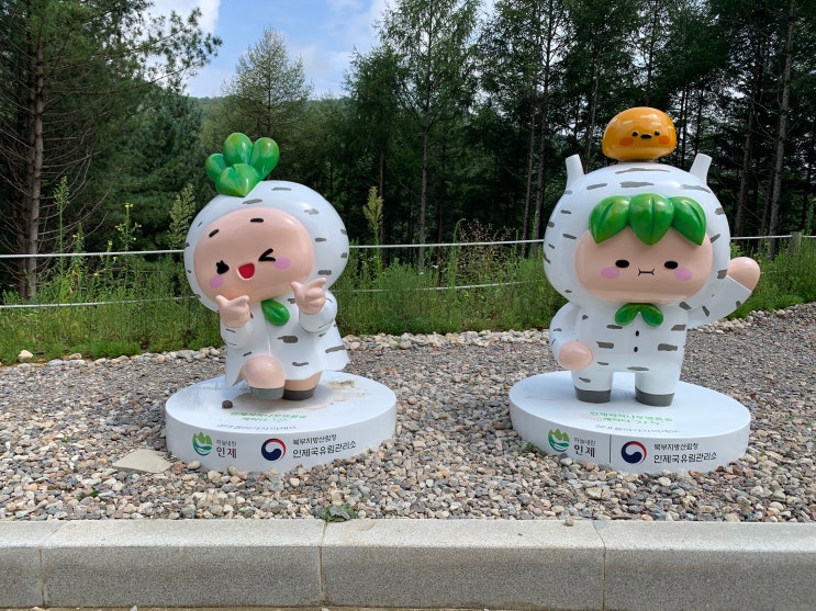 강원도여행 인제 가볼만한곳 총정리 강원도여행 인제 가볼만한곳 총정리
