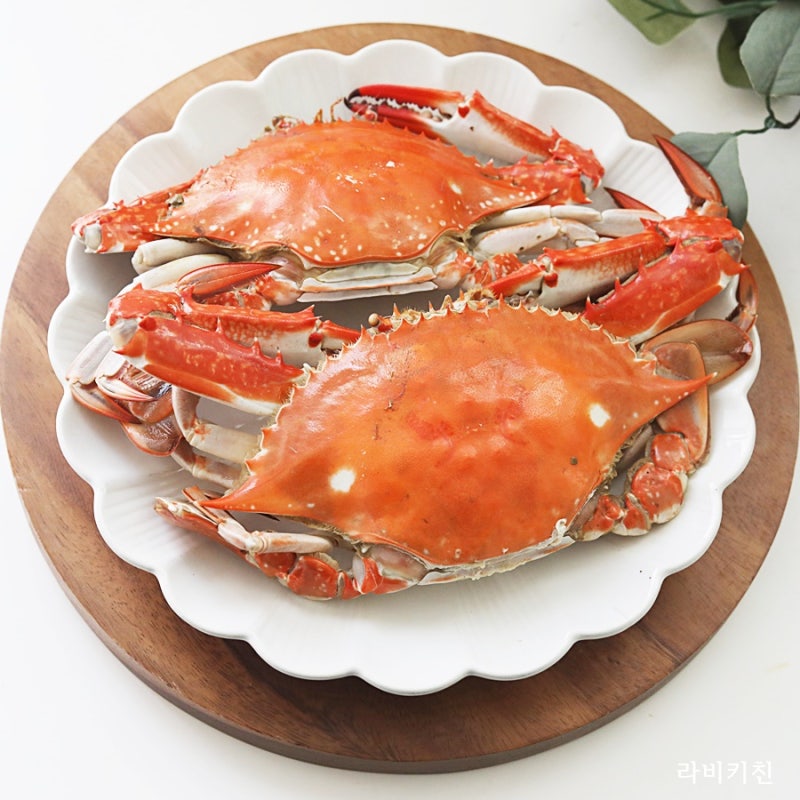게찜 꽃게찌는법 살아 있는 꽃게 죽이는법 꽃게찜 레시피 시간 톱밥꽃게 손질