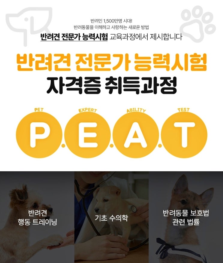  반려견 자격증 PEAT 취득 하는 방법
