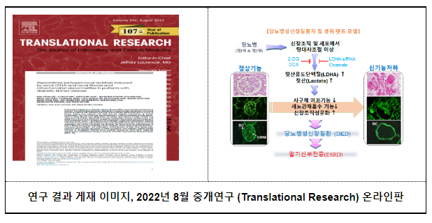 당뇨병성신장질환(당뇨병)의 치료 길 열어! (9.1.목)_질병관리청 당뇨병성신장질환(당뇨병)의 치료 길 열어! (9.1.목)_질병관리청