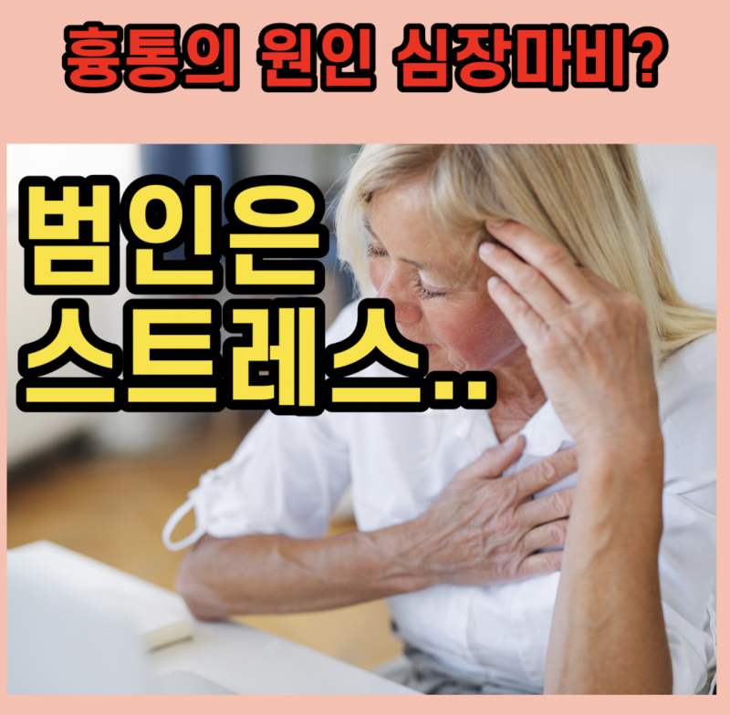 가슴 속 통증, 가슴 통증의 원인을 알아보자