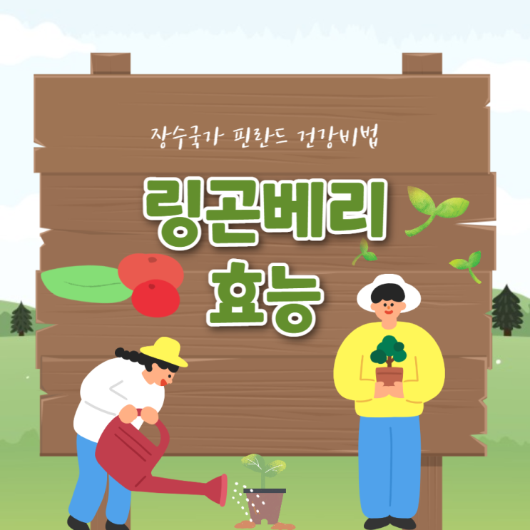 링곤베리 퓨레 효능 링곤베리 글루타치온 효과 먹는법 링곤베리 퓨레 효능 링곤베리 글루타치온 효과 먹는법