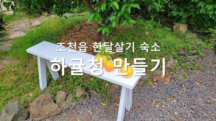 조천읍 한달살기 숙소에서 하귤청 만들기 - 6월