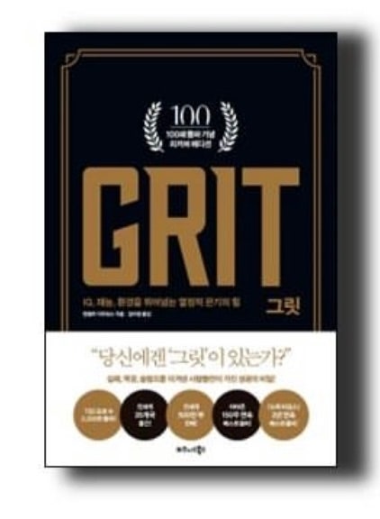 책 읽을 시간이 없는 사람, 귀찮은 사람을 위한 '3분독서' 책 한권으로 끝내는 성공의 새로운 정의 'GRIT 그릿'