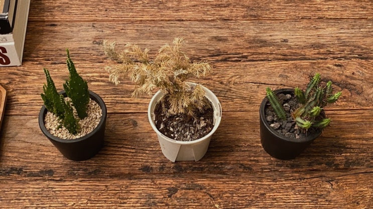  9월 안녕