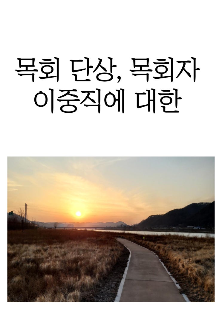  목회 단상, 목회자 이중직에 대한