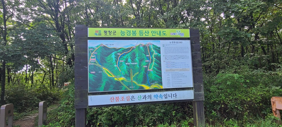 노루목이산 사진 5