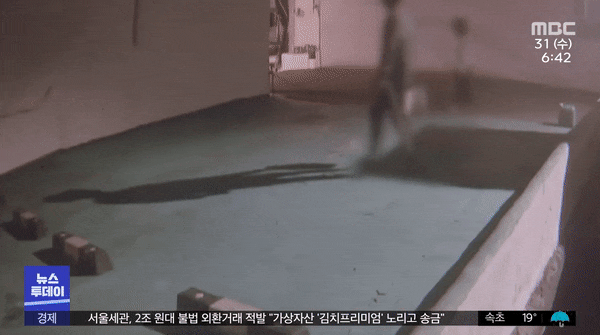 부산서 <b>신생아</b> <b>종이봉투</b> <b>유기</b> - 성교육과 윤리교육 부재가 빚은... 
