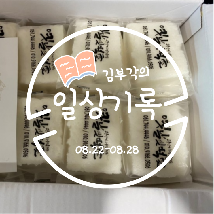  8월 넷째주의 일상