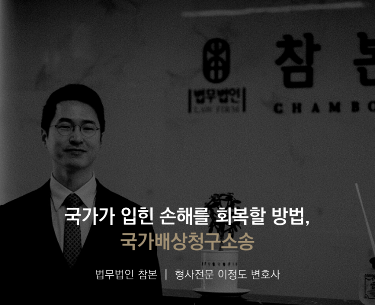  국가가 입힌 손해를 회복할 방법, 국가배상청구소송