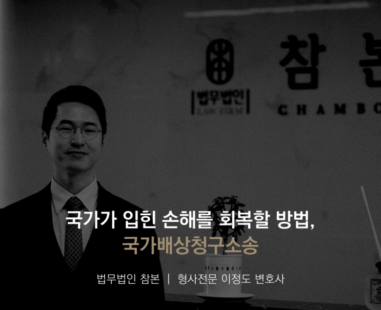 국가가 입힌 손해를 회복할 방법, 국가배상청구소송