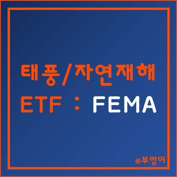 미국 태풍 및 자연재해 ETF - FEMA (홍수 복구 관련주)