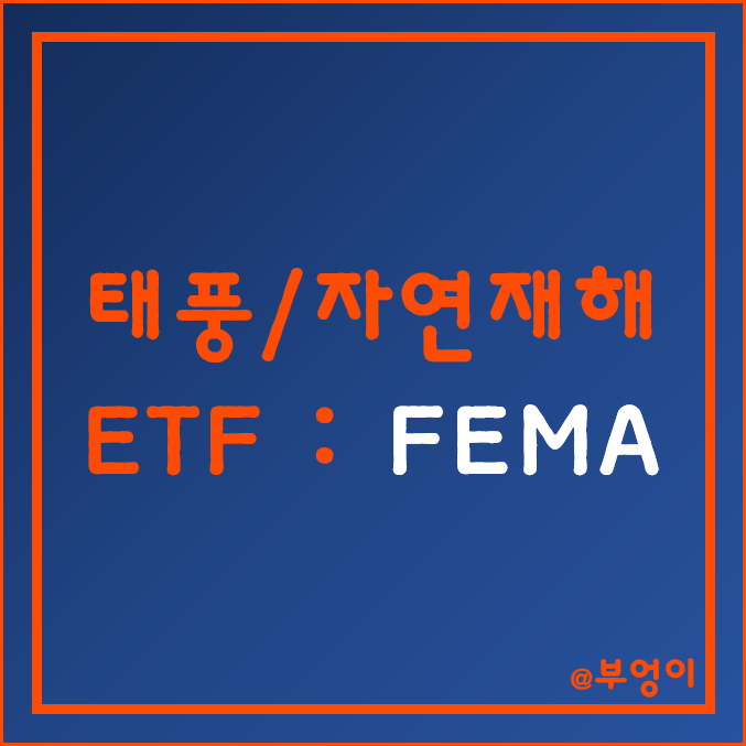 미국 태풍 및 자연재해 ETF - FEMA (홍수 복구 관련주) 미국 태풍 및 자연재해 ETF - FEMA (홍수 복구 관련주)