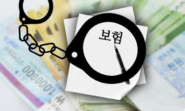 보험사기 흉악해지는데…국회서 잠자는 방지법 보험사기 흉악해지는데…국회서 잠자는 방지법