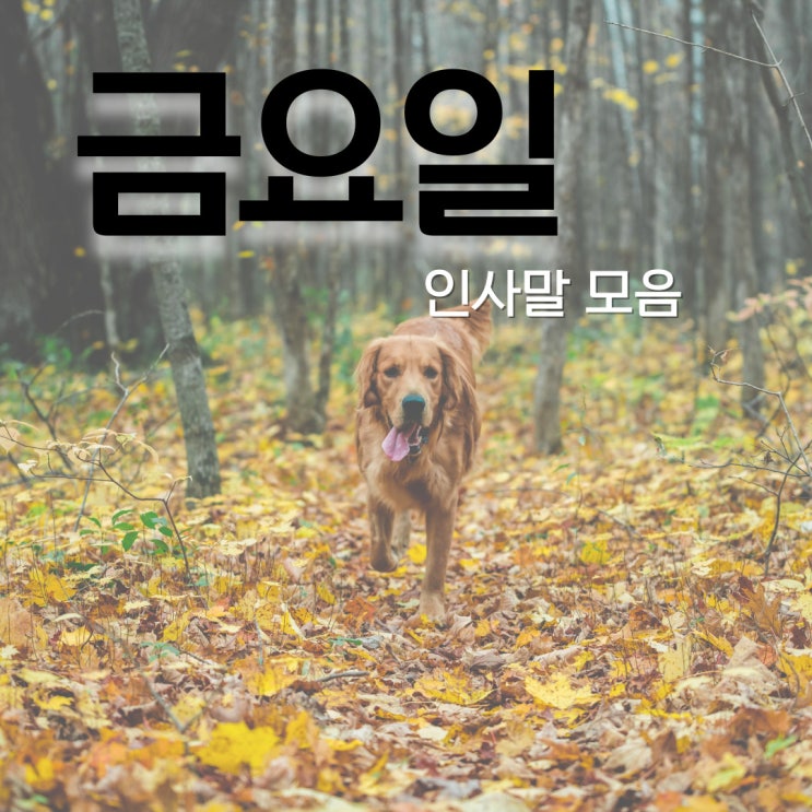 9월 첫째주, 금요일 인사말