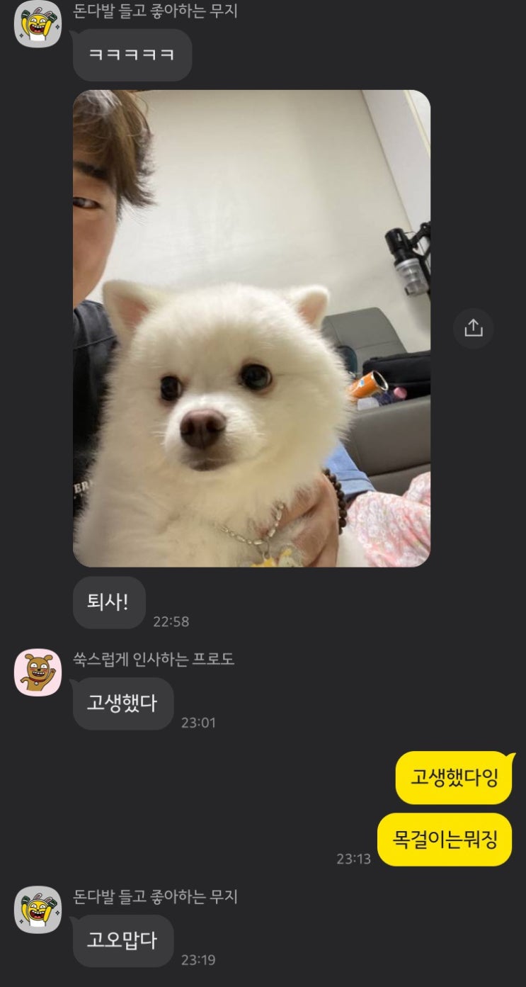 하루 일하고 또 주말_더 행복해진 일상