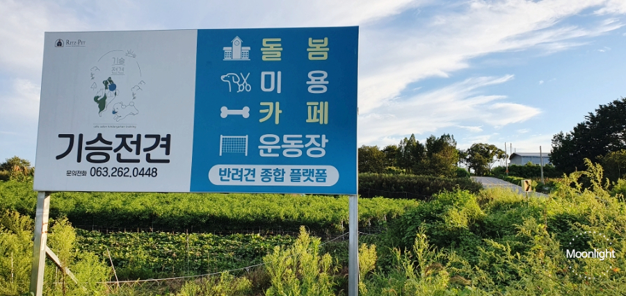리츠펫 기승전견 사진 3