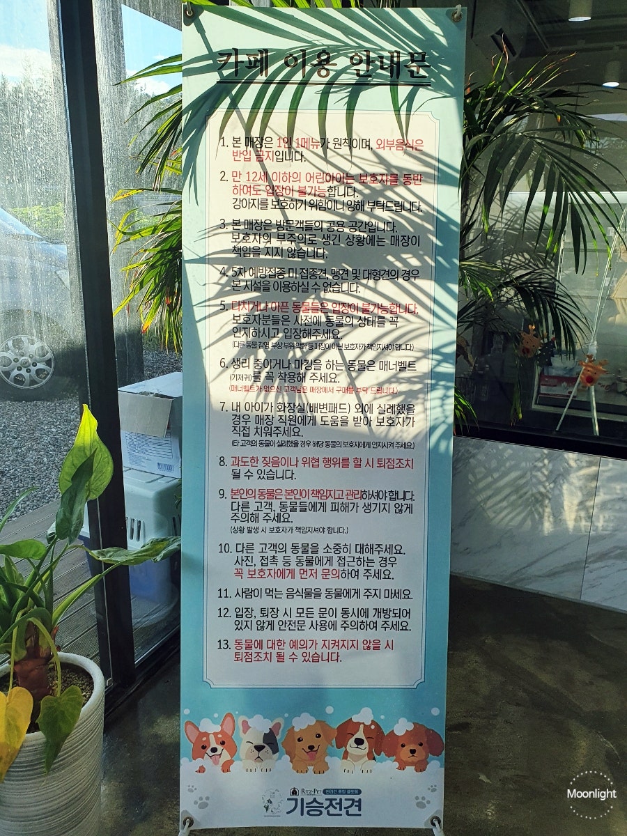 리츠펫 기승전견 사진 5