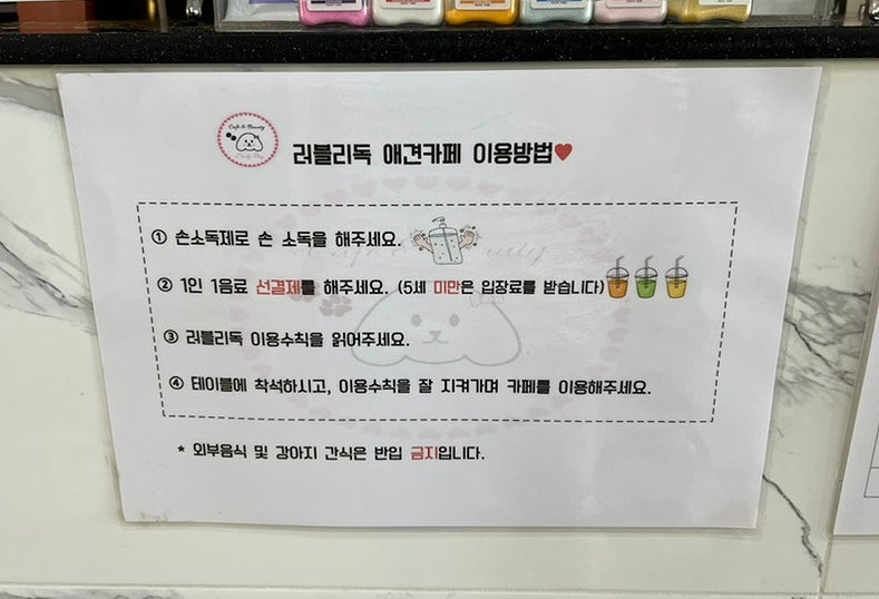 사진 6