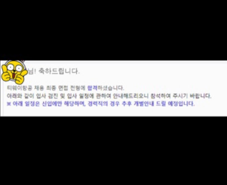 티웨이항공 it 개발 직무, 면접 리뷰