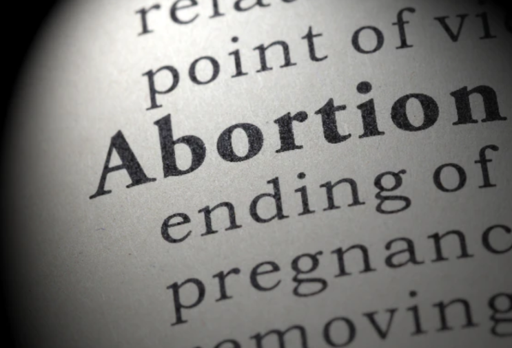 미시간 고등법원은 낙태에 대한 투표 질문을 받아달라고 요청했습니다.