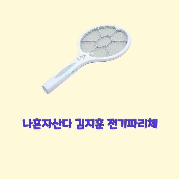 김지훈 나혼자산다461회  초파리 모기체 전기 파리체 기계 봉