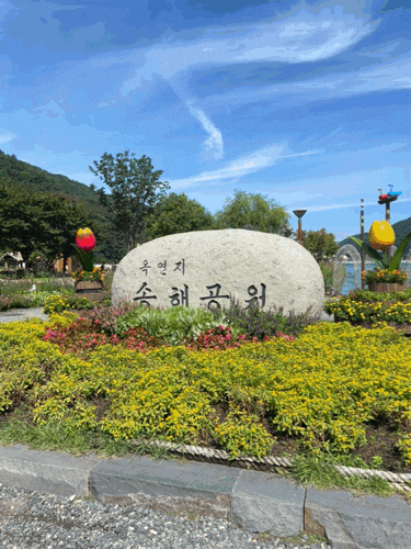  [대구] 송해공원, 가족들이랑 가볼만한곳 (둘레길 코스 추천)