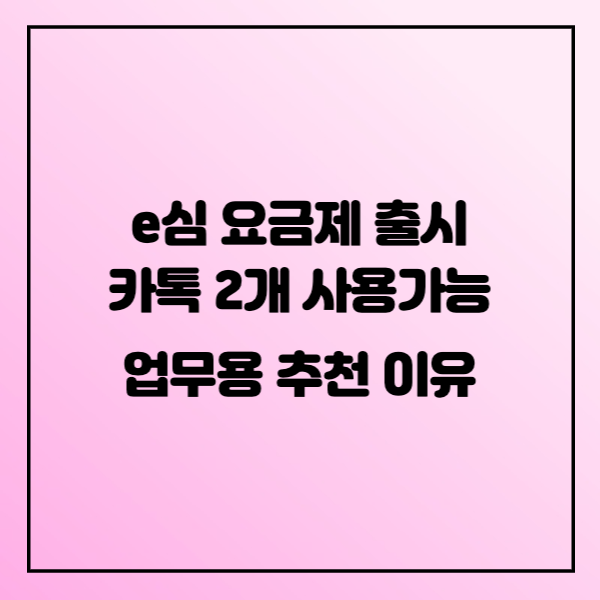  e심 요금제 출시 카톡 2개 사용가능 업무용 추천 이유