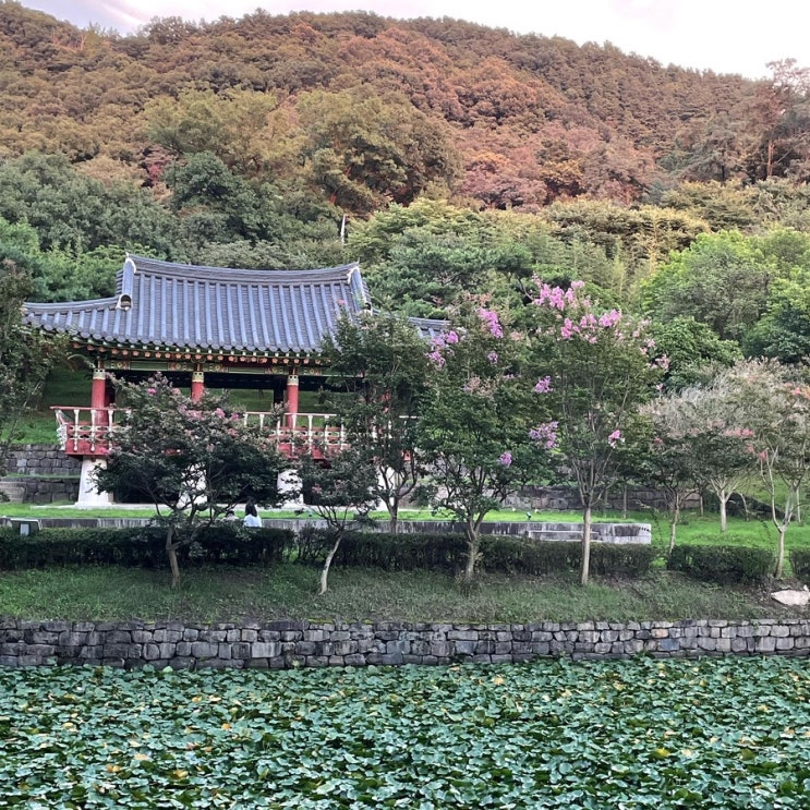  좋은 날