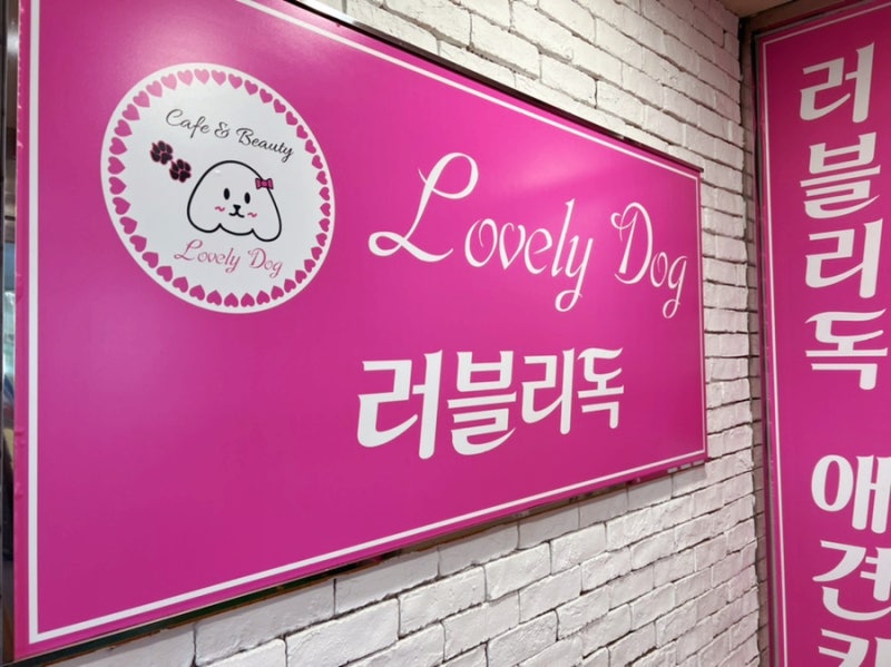 사진 4