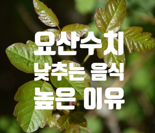  요산수치 낮추는 음식 8가지 체크해요