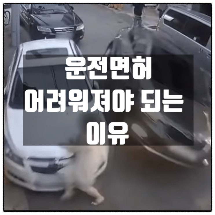  대구 김여사 살인미수사건 운전면허 어려워져야 되는 이유