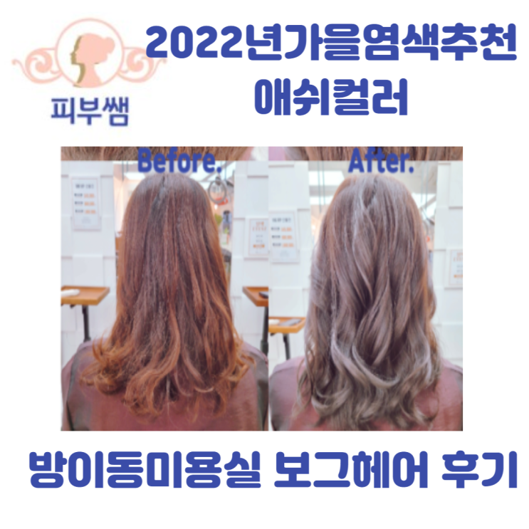  2022년 가을 염색 추천 애쉬 염색 방이동미용실 보그헤어 후기