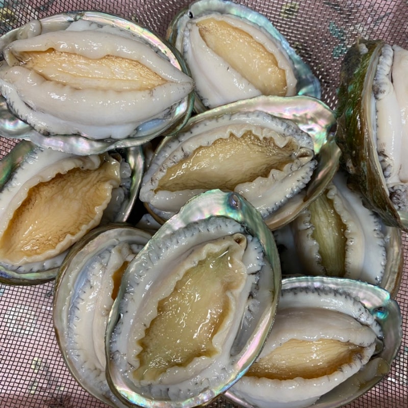 전복버터구이 레시피 | 전복 손질부터 세척솔 사용법까지 초보도 쉽게 만들기