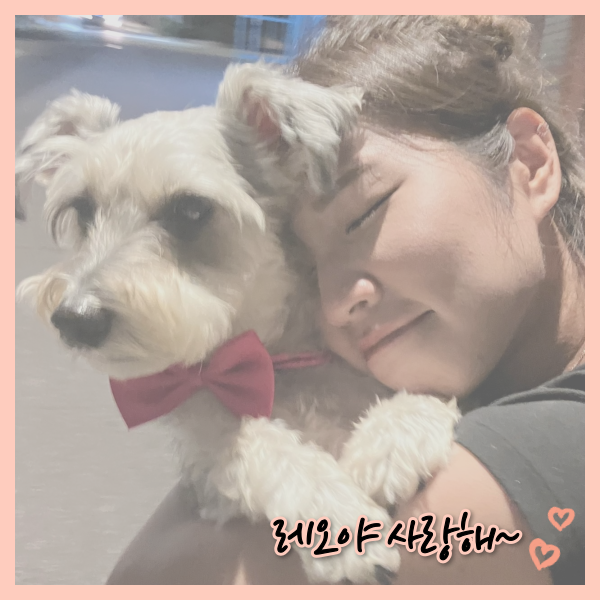  [슈나우저] 레오의 주간 Diary / 블챌 도전~?!