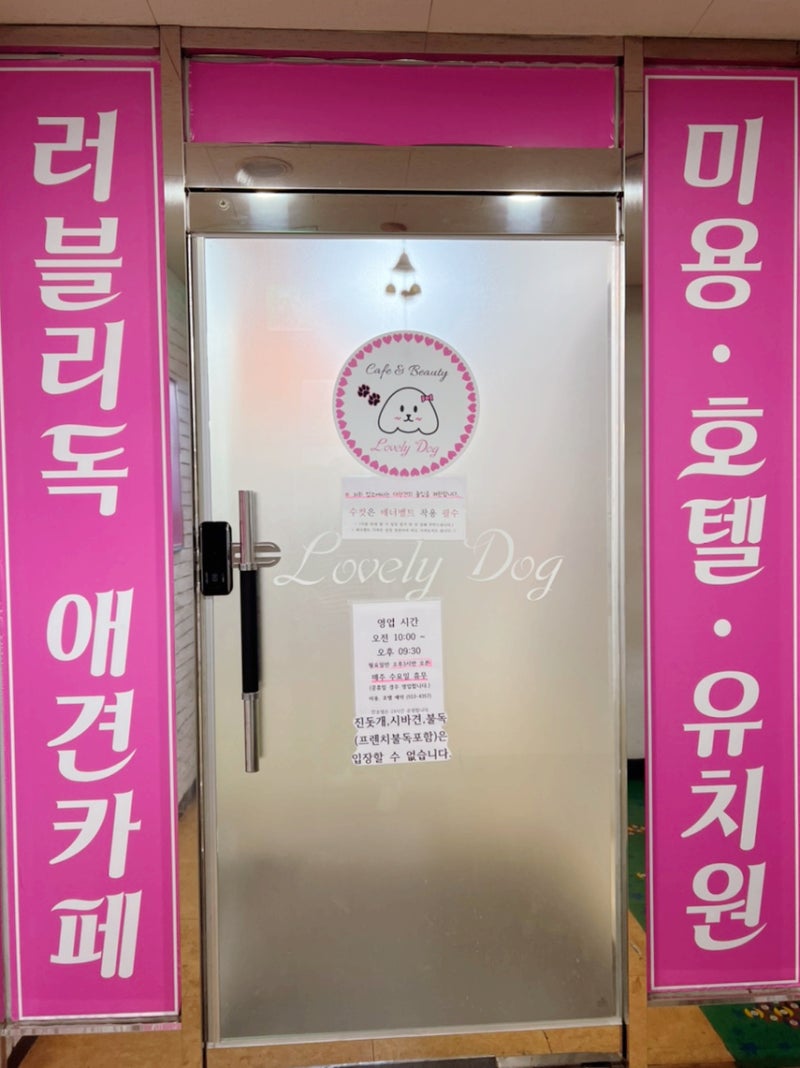 사진 5