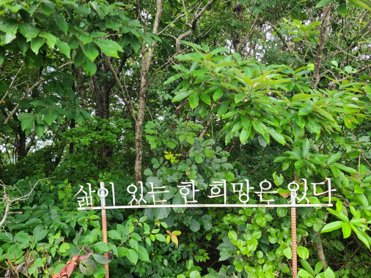  [경제 금융 용어 700선](381-390) 연방준비제도,연방준비은행,연불수출,연쇄가중법,연지급수입,영업잉여,예금보험제도,예대금리차,순이자마진,예대율,예상손실,예약자금이체제도.