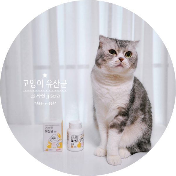 변비로 고민하는 우리집 반려묘에게 고양이 유산균 추천 펫펫 굿랩 프로바이오틱스