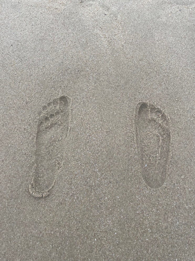  [부산여행] 첫째날 : KTX 내일로 두번째이야기,해리단길,MEANINGFUL 카페,도넛샵,상국이네,삿뽀로하루,해운대 해수욕장, : 비오고난리와서 고생했지만 마지막은 성공적