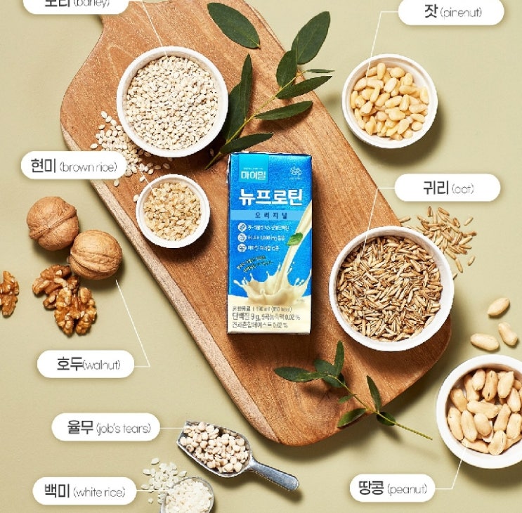  마이밀 마시는 뉴프로틴
