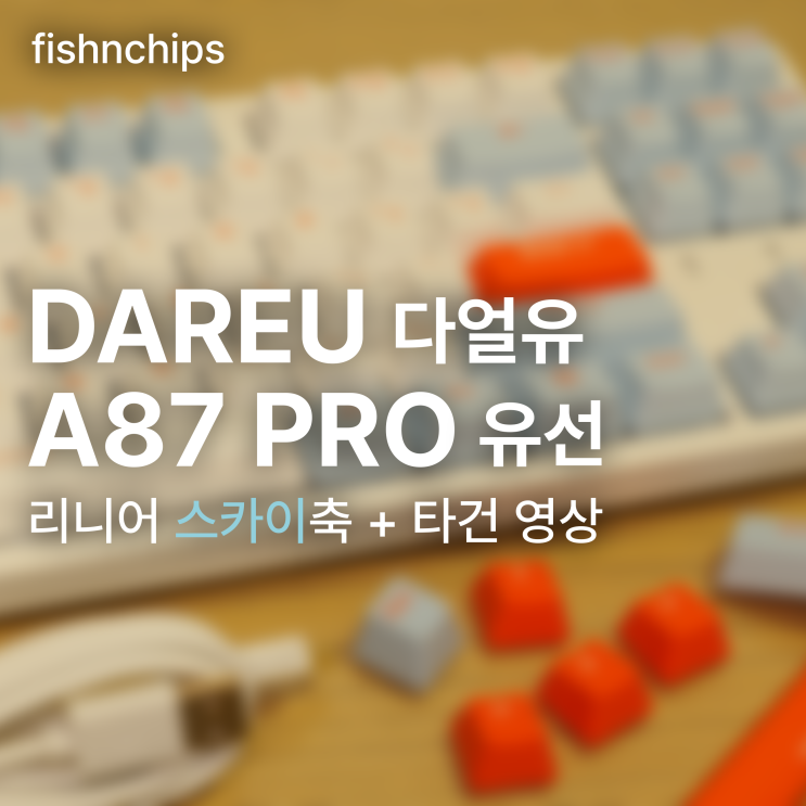  다얼유 A87 Pro 유선 리뷰 + 타건 영상 :: 저렴하게 맛보는 특주축 + 핫스왑 + 가스켓 기계식 키보드