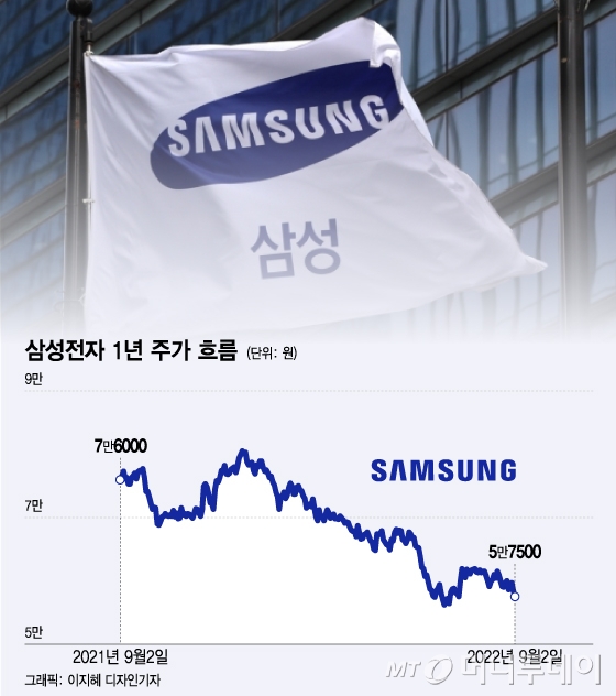 "57층도 위태" 삼성전자 80층 주주의 절규 "반도체, 너마저.."