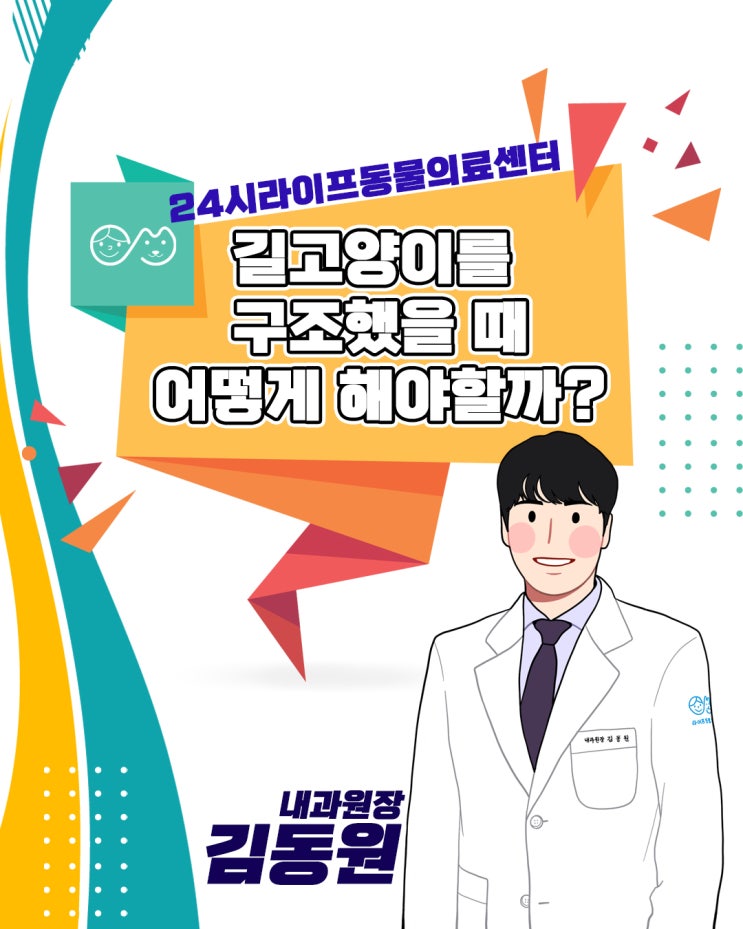 달서구24시동물병원 : 길고양이를 구조했어요, 뭘 해야하나요?