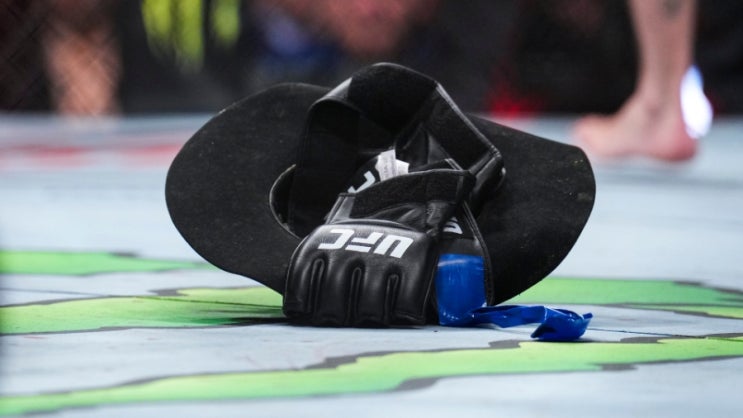  UFC 웰터급 챔피언 정리