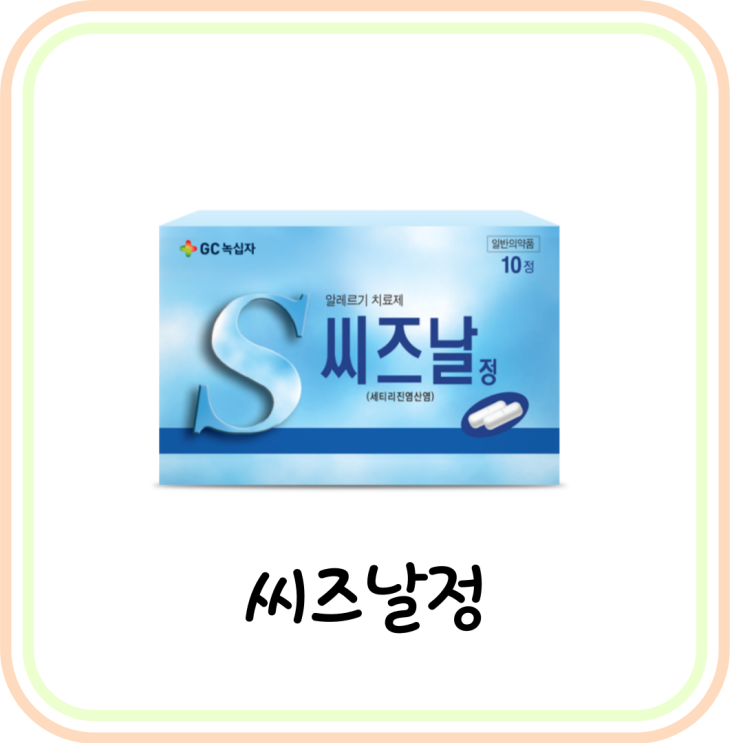  [약국 비염약] 씨즈날정 가격과 효능 및 부작용 정리 (ft. 알레르기 비염약)